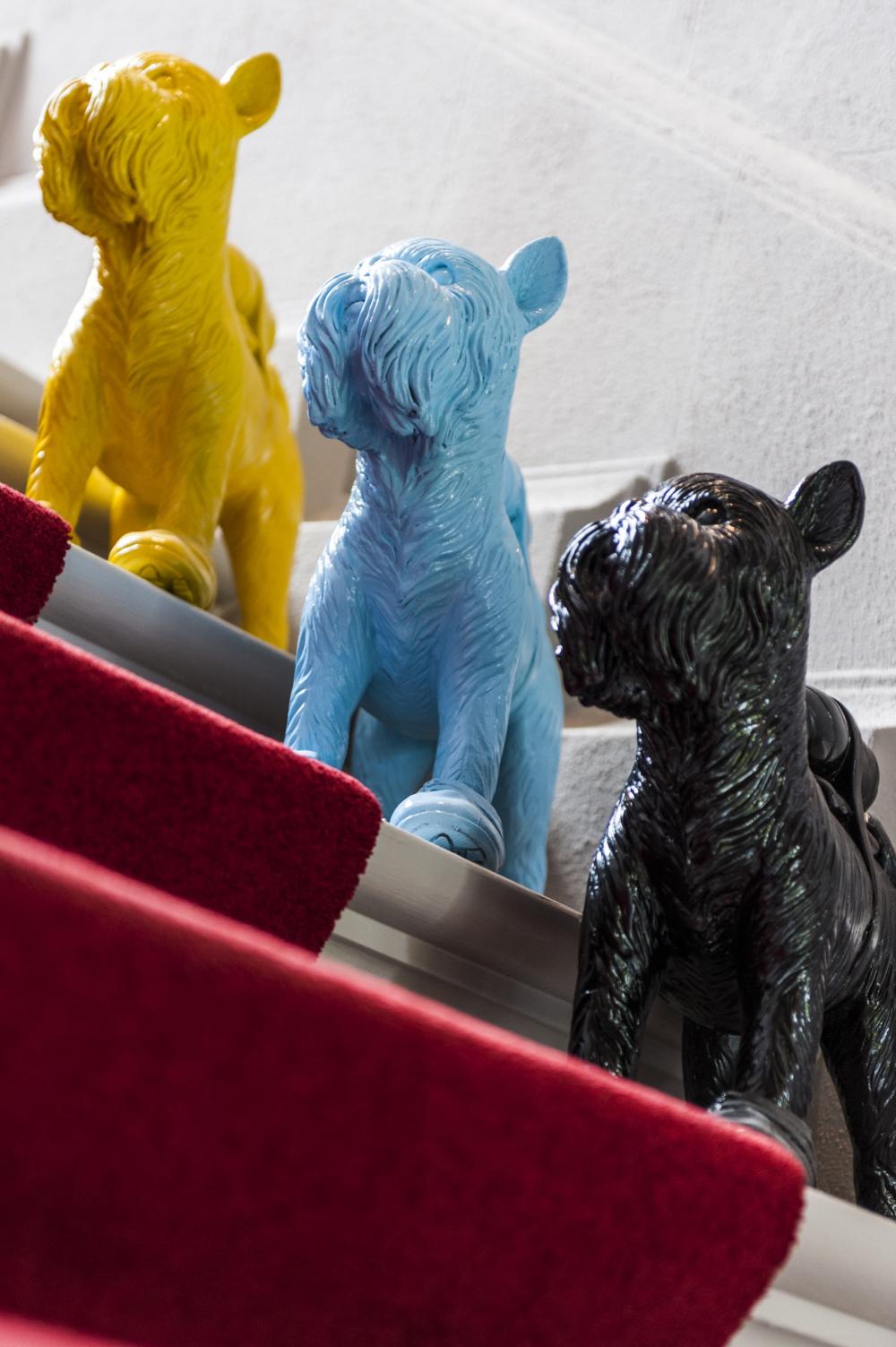 callantoostkamp_beelden honden